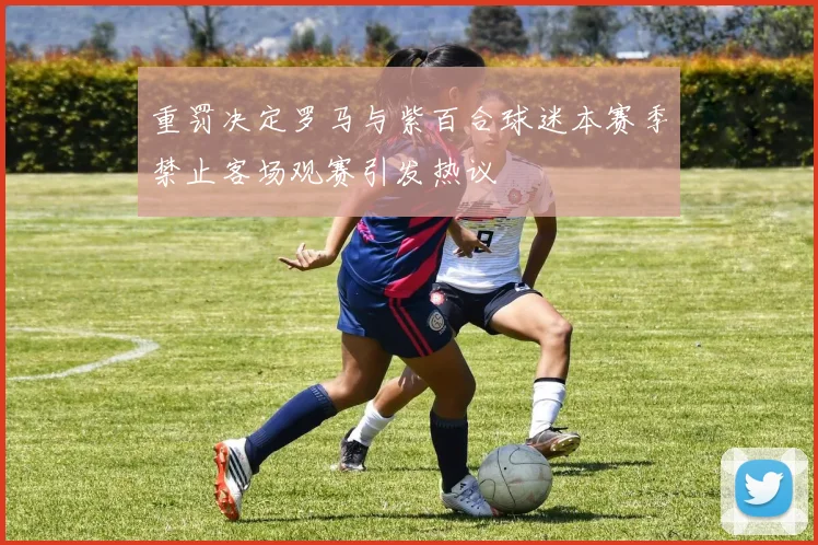 重罚决定罗马与紫百合球迷本赛季禁止客场观赛引发热议