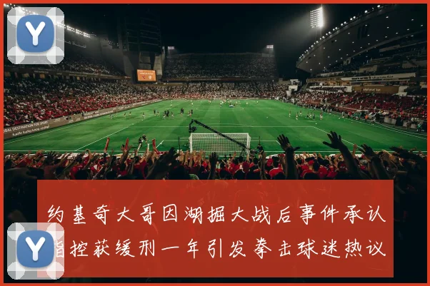 约基奇大哥因湖掘大战后事件承认指控获缓刑一年引发拳击球迷热议