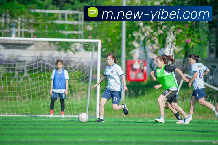 易倍体育APP 封面图